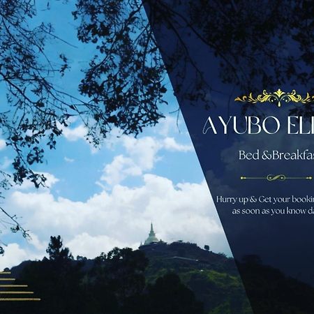 Ayubo Ella - Bed & Breakfast 외부 사진