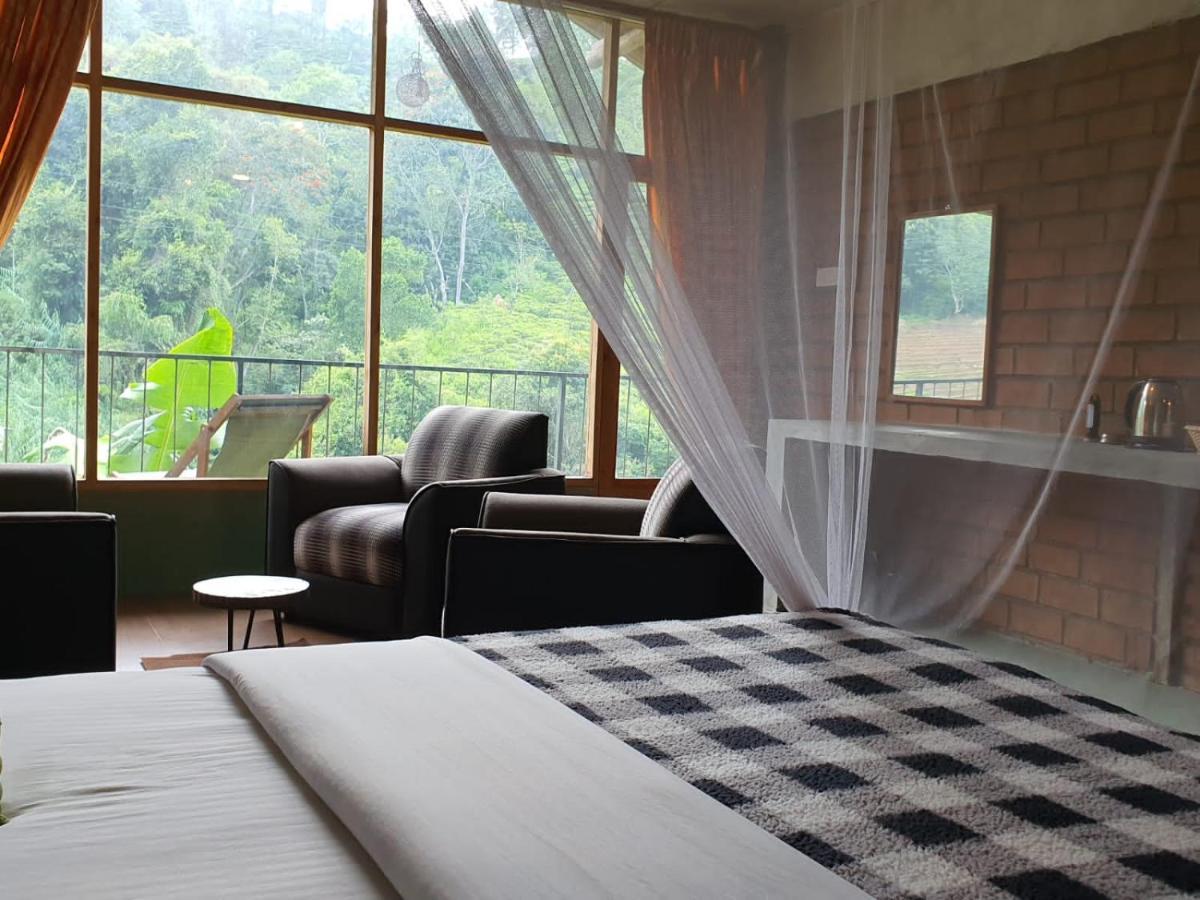 Ayubo Ella - Bed & Breakfast 외부 사진